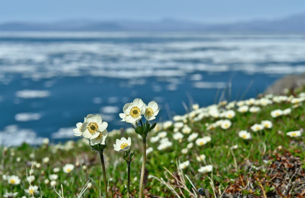 5 Places To Enjoy Spring Break in New England